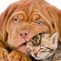 Надежда Григорьева | Санкт-Петербург