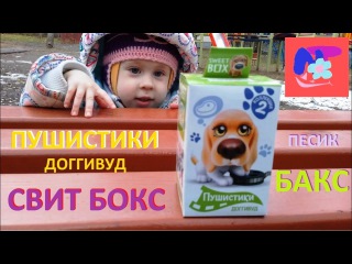 Открываем СВИТ БОКС ПУШИСТИКИ Доггивуд. Песик БАКС! Коллекция 2. Open Surprise Sweet Box Doggywood