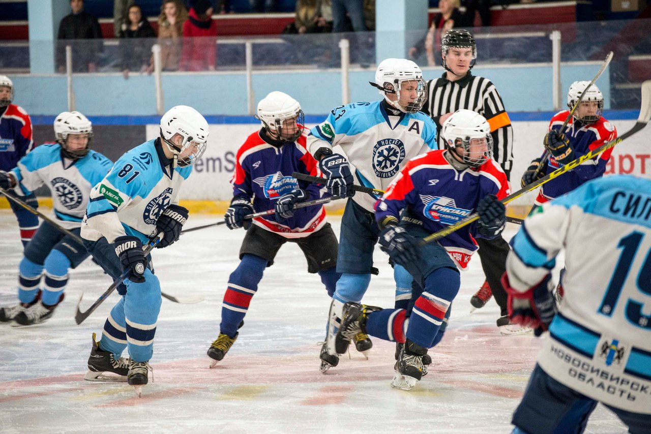 прогнозы на спорт