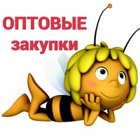 Светлана Плотникова | Санкт-Петербург