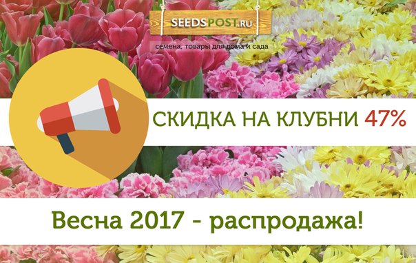 Seedspost Ru Интернет Магазин Личный Кабинет
