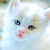 Анастасия Малицкая | Хабаровск