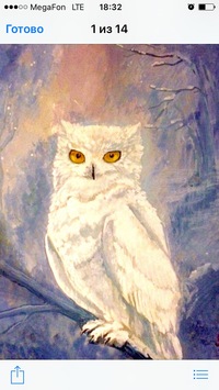 Лана Короткова