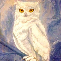 Лана Короткова