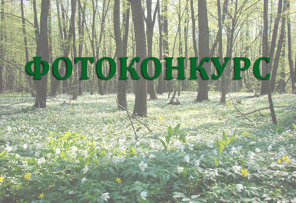 Ooops... Зображення не завантажилось