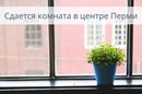 Объявление от Анна - фото №1