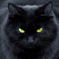 Ігор Миронюк