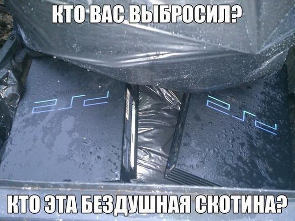 веселые картинки