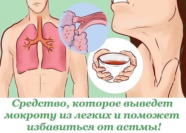 Средство, которое выведет мокроту из легких и поможет избавиться от астмы! 