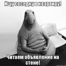 Объявление от Александра - фото №1