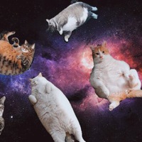 Дария Кордесова