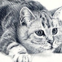 Андрей Лисицкий