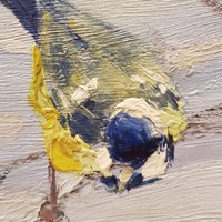 Лена Некрасова