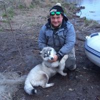 Никита Романов  Олегович