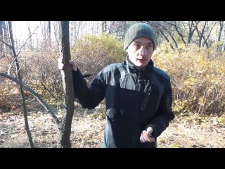 ГИНКГО. ченнелинги с О.М. ГИНКГО. ченнелинги с О.М.