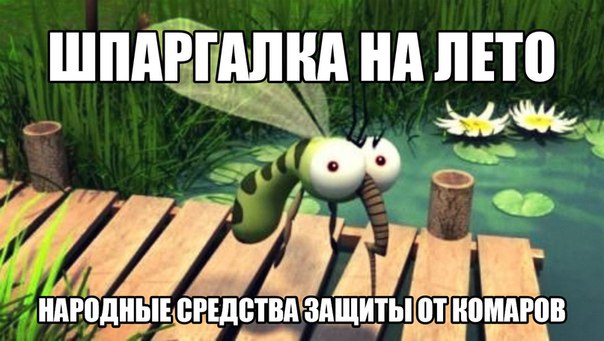 Народные средства защиты от комаров