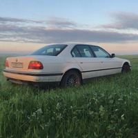 Андрей Дорогов