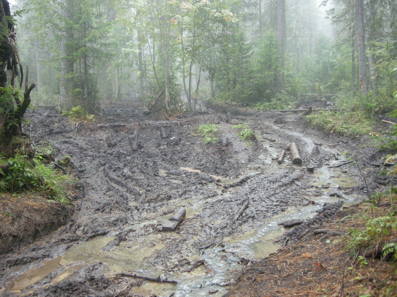 ncGmyWZjyKo.jpg