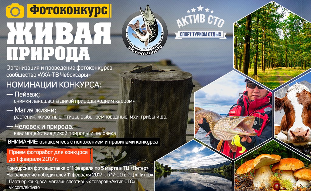 опубликованное пользователем изображение