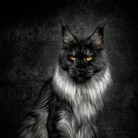 Constantine Tartanov