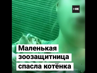Девочка спасла котёнка из мусоровоза