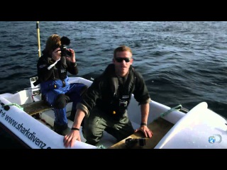 Little Bitty Boats and Big Sharks Don't Mix