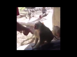 Он ё*аный волшебник!