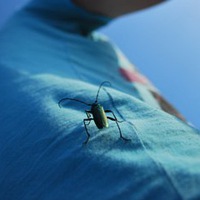 Паша Сакавчанский