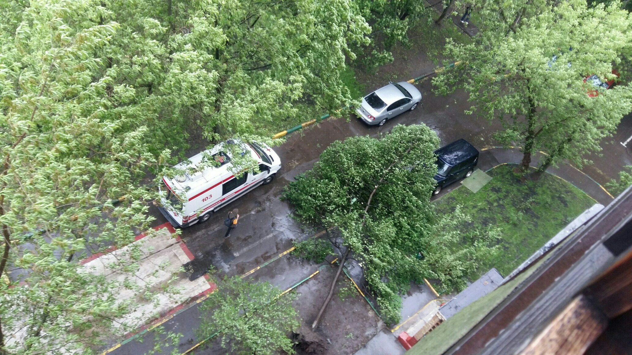 Ураган в Москве. Ураган в Москве (2017). Ураган в Москве Сити. Ураган в Москве 1998.