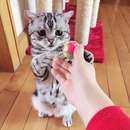 Грустинка