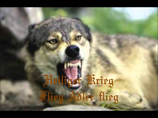 Heiliger Krieg - Flieg Adler flieg