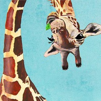 Юлия Шахайда