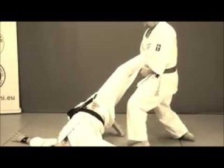 Bassai Dai Kata Bunkai