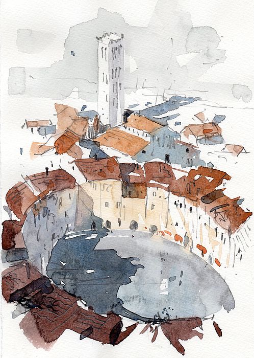 tony belobrajdic