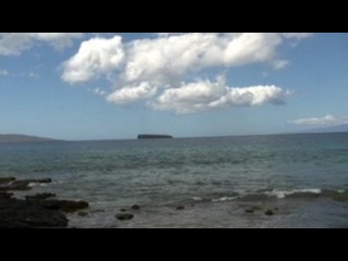 Hawaii Whalewatching nude surfing beach party