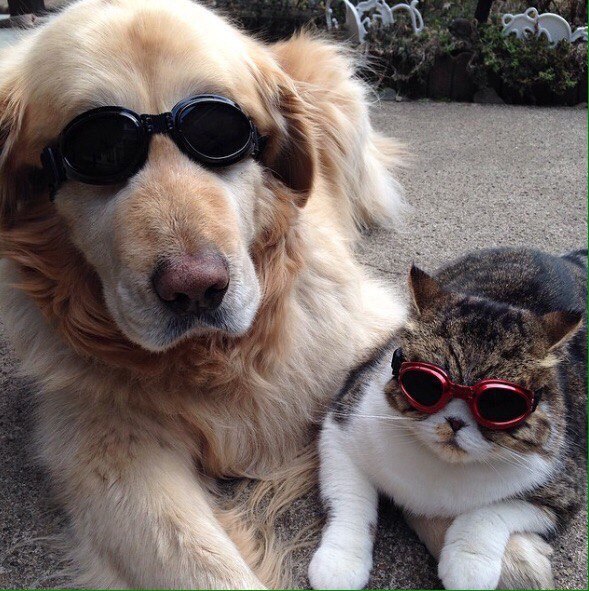 Никита Руденко