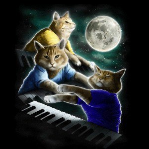 Keyboard Cat