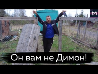 Расследование покушения на Димона