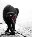 Я раньше почему злая была?