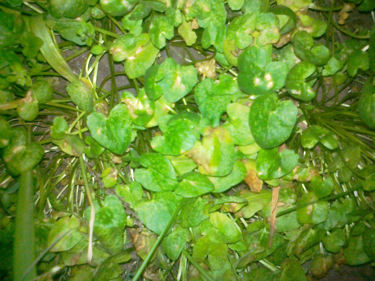 фотография из вКонтакта