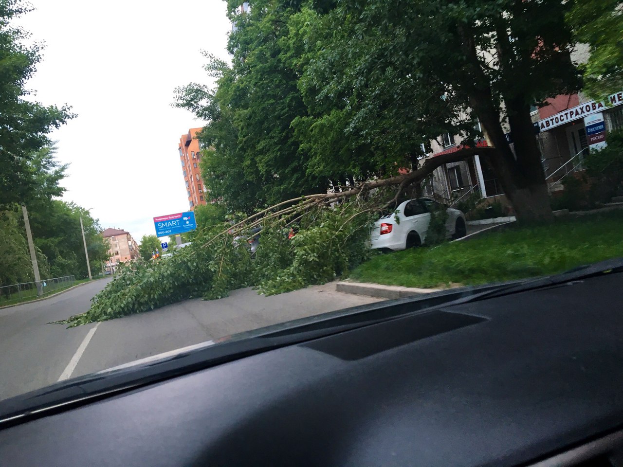 Газета карусель работа бухгалтера в сургуье, отзывы о работе в тренд санкт-петербург и работа в мурманске на подработку Газета карусель работа бухгалтера в сургуье