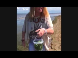 Юрмала Алла Пугачева с Галкиным и Лайма Вайкуле собирают съедобный мусор на пл ...