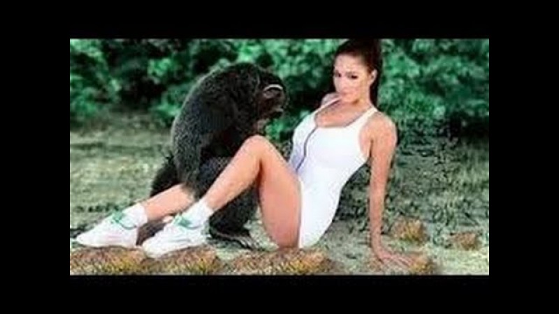 Animal Porn With Girl Monkey - Monkey to fucking girls - Babes - Video XXX