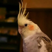 Евгений Степанов
