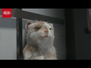 Музыка из рекламы Kia Soul Turbo - The Turbo Hamster Has Arrived (2017)