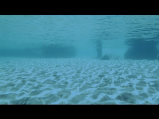 Акулье озеро (2015) HD
