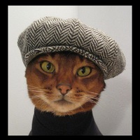 Роман Анохин | 