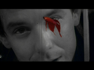 Rumble Fish (1983) 1080p | ENG