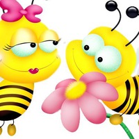 Пчел Вологодский