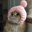 У природы нет плохой погоды,